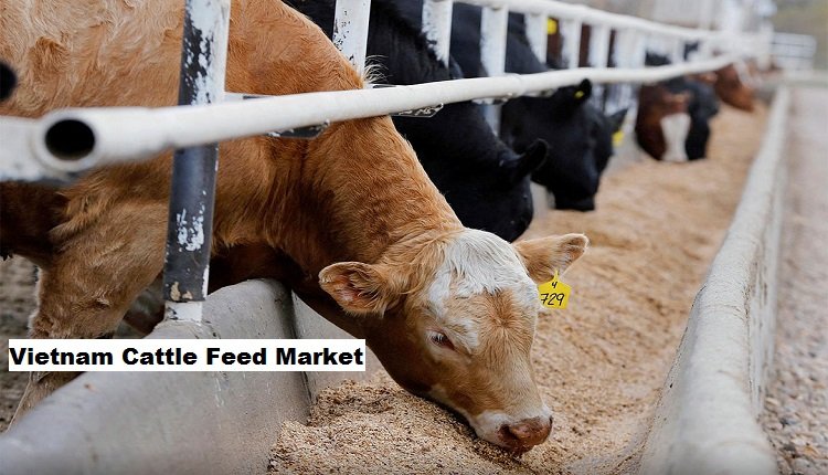 Vietnam Cattle Feed Market: Dairy Cattle Expected to Dominate through 2028