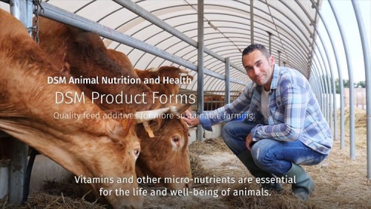 How Are Nutrients Essential For Animal Health And Production?