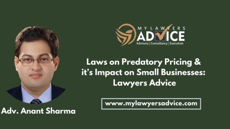 Laws on Predatory Pricing & it’s Impact on Small Businesses