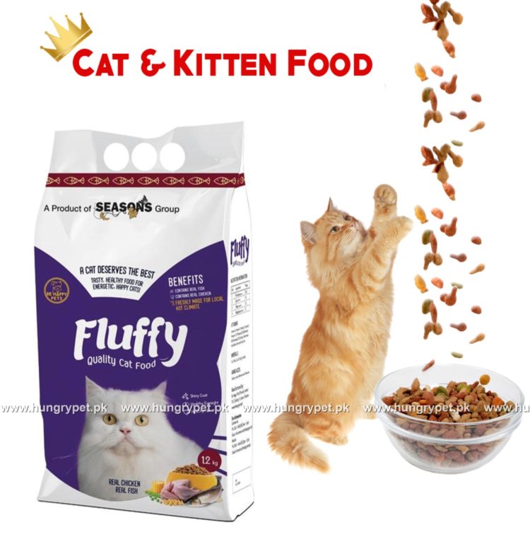 A Guide to Choosing the Best Cat Food for Cats