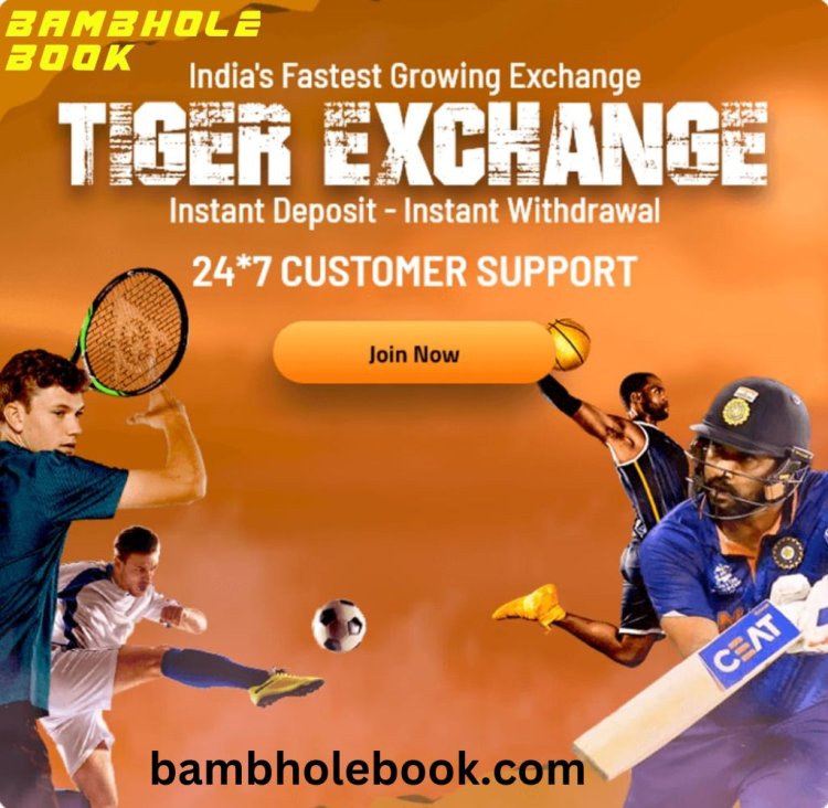 Tiger Exchange ID | Most Trusted Online Cricket ID Provider In India