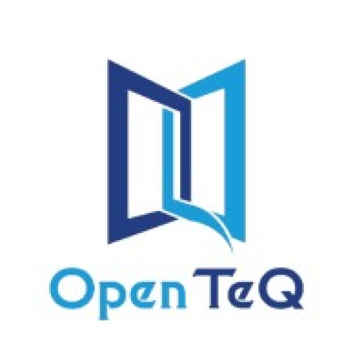 OpenTeQ NetSuite Technical Consultant: Your Strategic NetSuite Partners for Optimized ERP Solutions