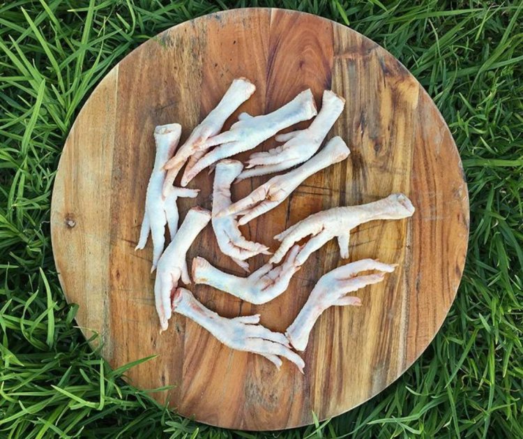 Chicken Feet for Dogs | RogueRaw