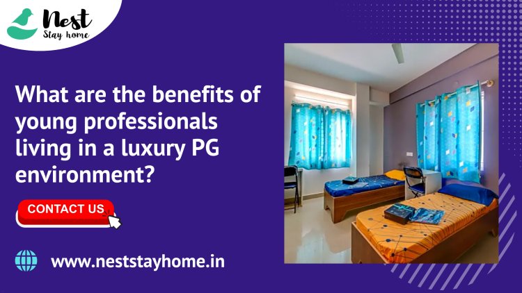 What are the benefits of young professionals living in a luxury PG environment?