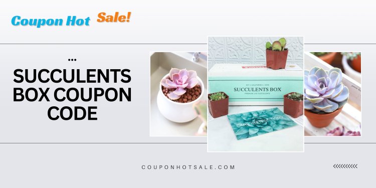 Exclusive Savings: Succulents Box Coupon Code Inside! — Coupon Hot Sale