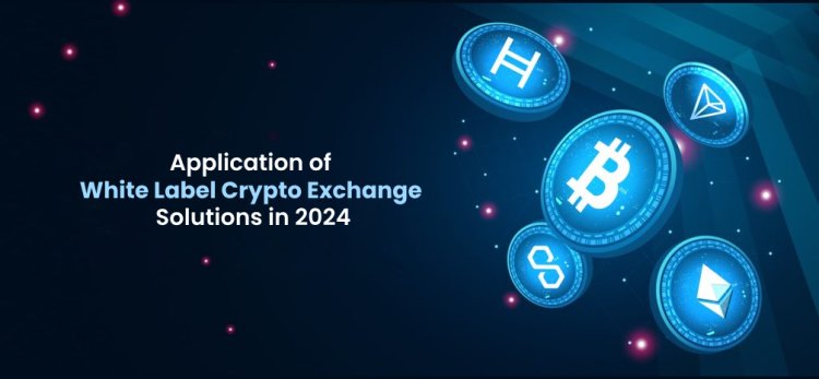 Application of White Label Crypto Exchange Solutions in 2024
