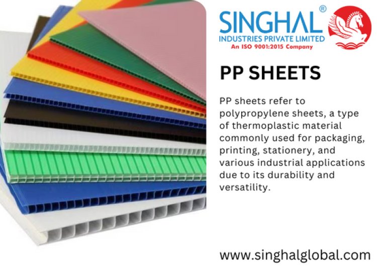 Unveiling the Marvels of PP Sheets: Your Ultimate Guide