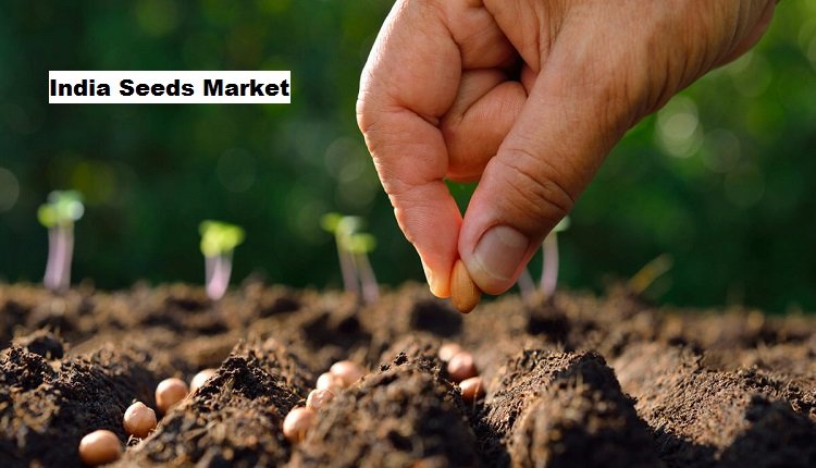 India Seeds Market on the Rise as Farmer Awareness Grows on Hybrid Seeds