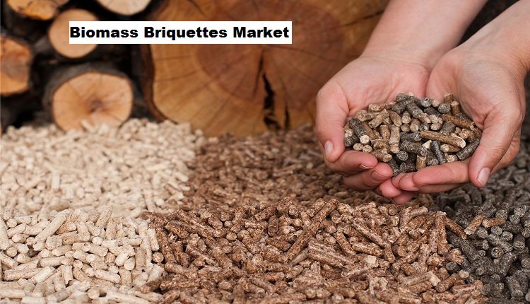 Growing Demand for Water Infrastructure Replacement Drives Biomass Briquettes Market Growth