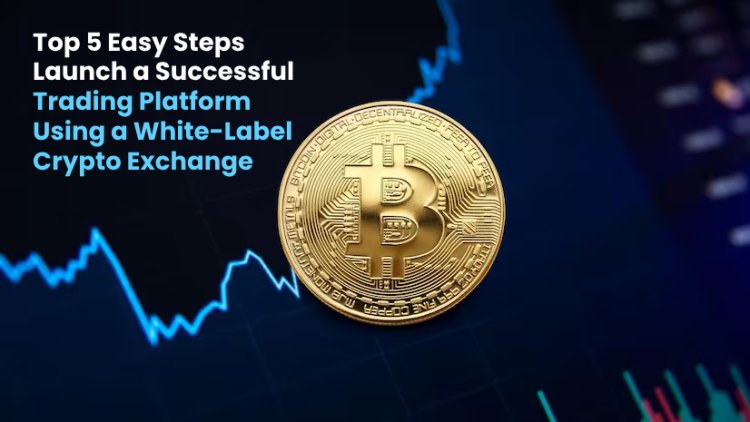 Top 5 Easy Steps: a Successful Trading Platform Using a White-Label Crypto Exchange