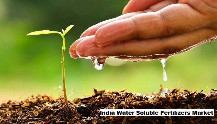 India Water Soluble Fertilizers Market Profits from Hydroponics and Soilless Cultivation Expansion