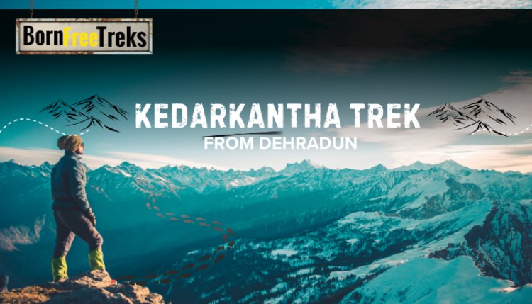 Experience the Majestic Kedarkantha Trek from Dehradun with Born Free Trek