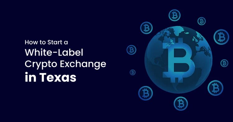 How to Start a White-Label Crypto Exchange in Texas