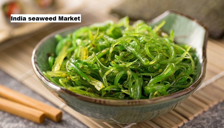 India Seaweed Market: Dry Form Seaweed Segment Anticipated to Lead till 2028