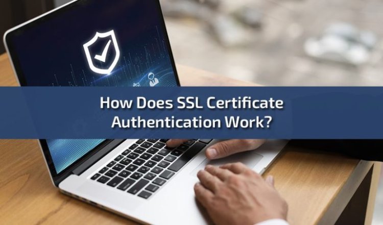 How Does SSL Certificate Authentication Work?