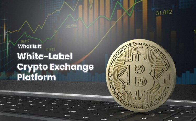 White-Label Crypto Exchange Platform: What Is It and How Can It Transform Your Business?
