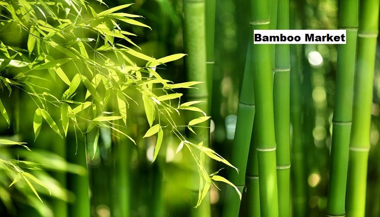 Bamboo Market Surges as Demand for Natural Products and in Construction Rises