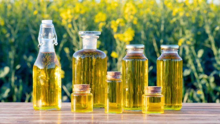 Rapeseed Oil Global Market Navigating Trends, Share Report, Growth Drivers, Market Size And Future Outlook 2024-2033