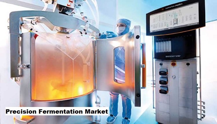 Precision Fermentation Market Thrives Amidst Rising Adoption of Veganism and Cultured Meat