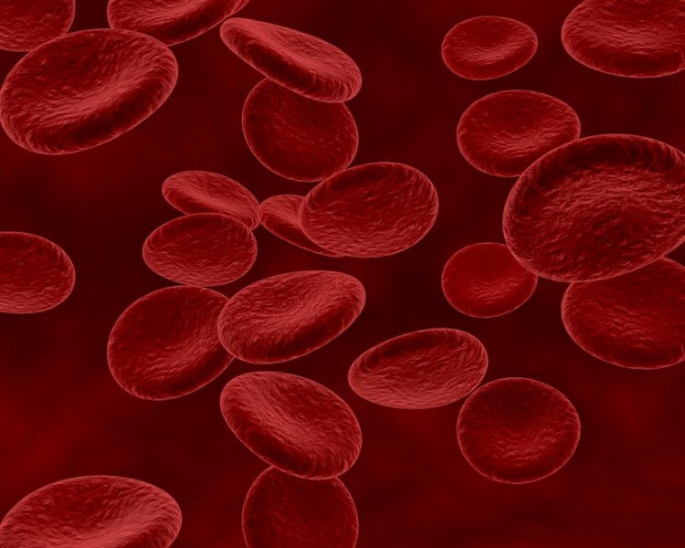 Thrombophilia Market Insights 2024: Key Players and Strategies