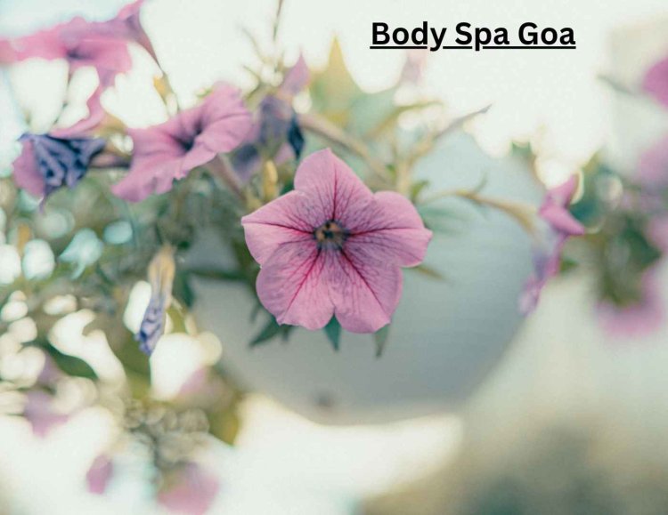 Spa in Goa