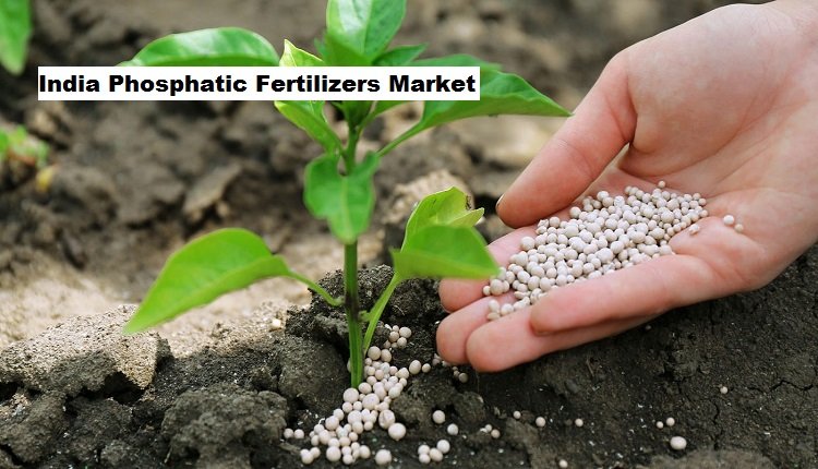 India Phosphatic Fertilizer Market Advances with Increasing Adoption of Precision Farming