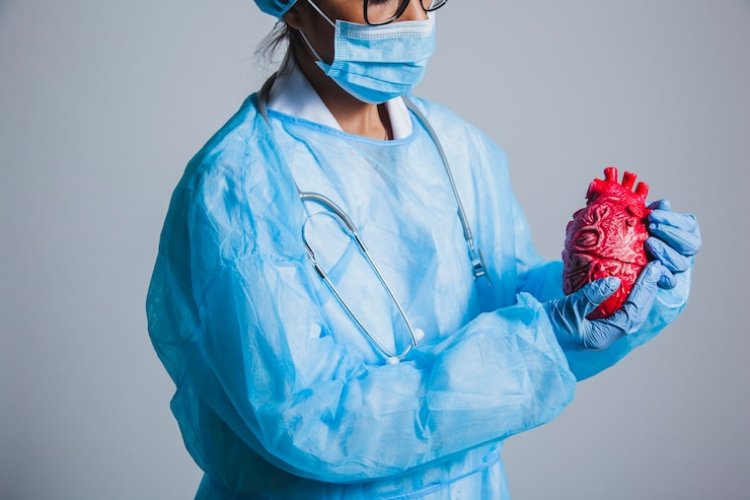 Cardiac Safety Services Market Trends, Size, Strategies, Scope By 2024-2033