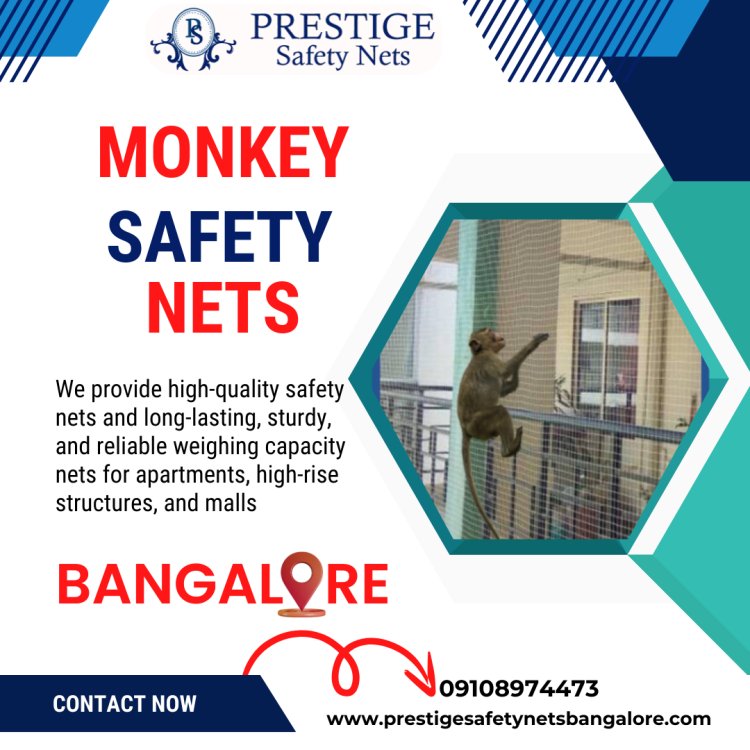 Monkey Safety Nets in Bangalore: The Ultimate Solution for Monkey Menace