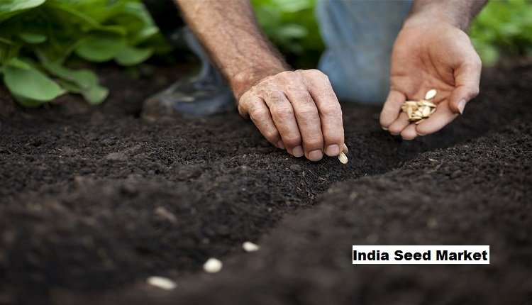 India Seed Market: CAGR of 7.41% Forecast till 2030