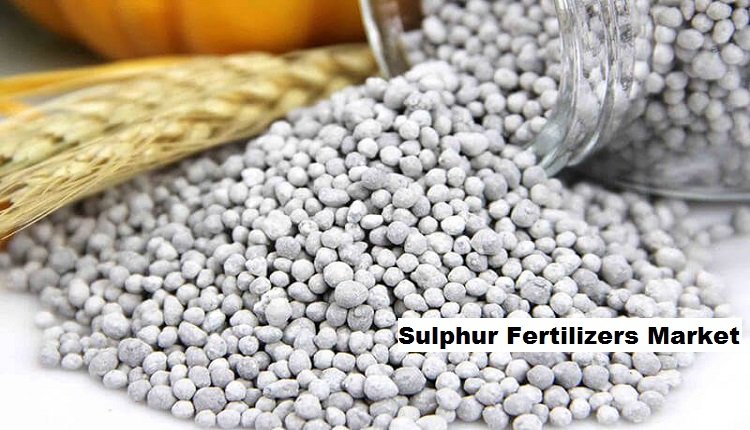 Sulphur Fertilizers Market: Growth Driven by Agricultural Technologies