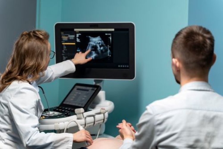 Elastography Imaging Market Report By Share, Size And Growth 2024-2033