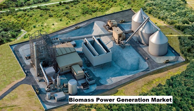 Biomass Power Generation Market Projection: Advancements in Techniques Driving Market Growth