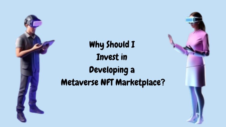 Why Should I Invest in Developing a Metaverse NFT Marketplace?