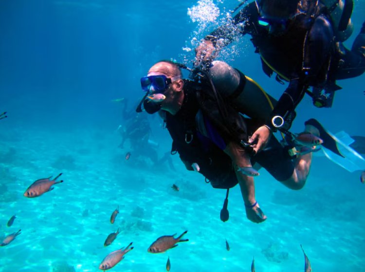 Compare the Best scuba diving in Andaman vs Lakshadweep vs Goa