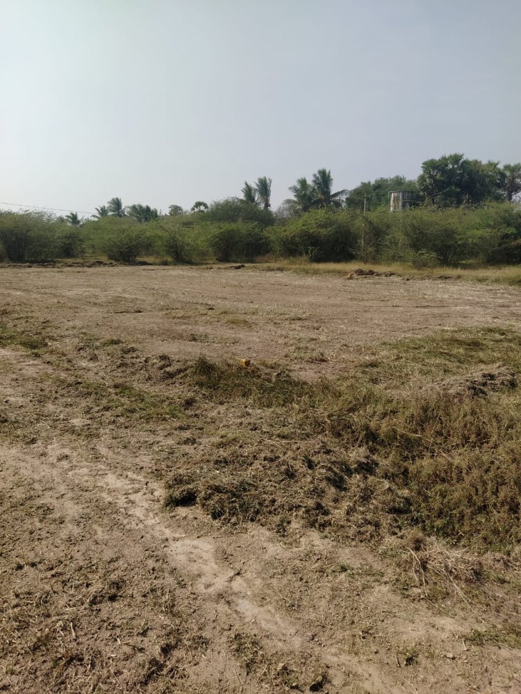 DTCP APPROVED PLOTS FOR SALE AT SEVAPPET