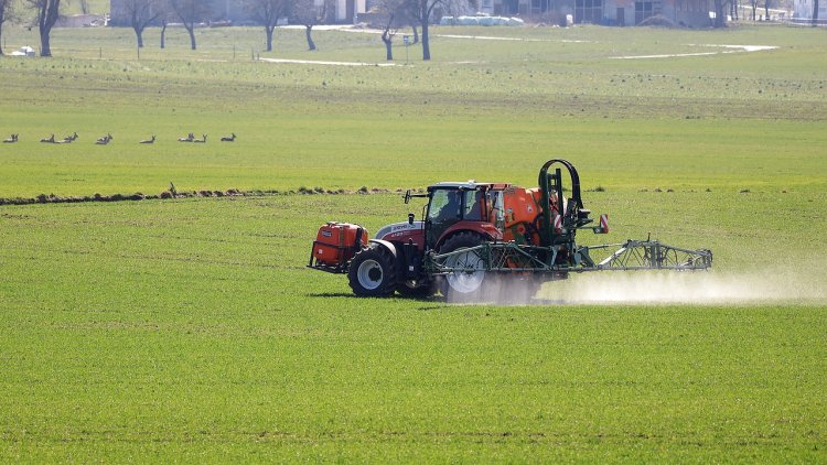 Pesticide Inert Ingredients Market Size, Share, Growth And Forecast 2033