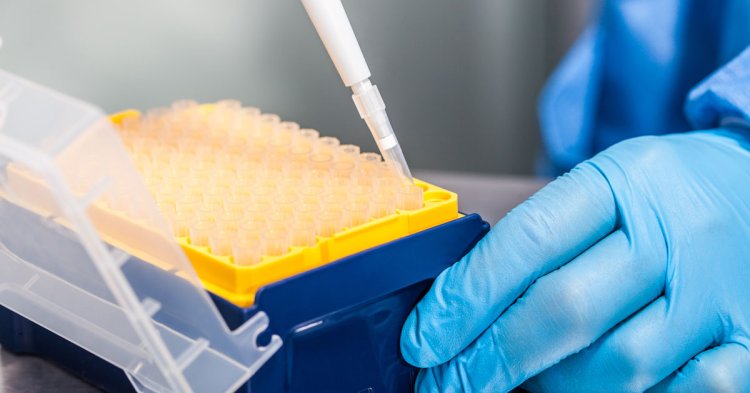 Pipette Tips Market Industry Outlook, Opportunities in Market And Expansion By 2033