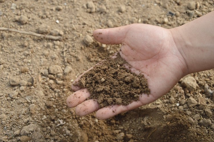 Soil Testing Equipment Market Segments, Growth And Outlook 2024-2033