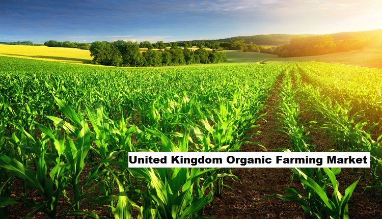 United Kingdom Organic Farming Market: CAGR Analysis and Forecast Trends