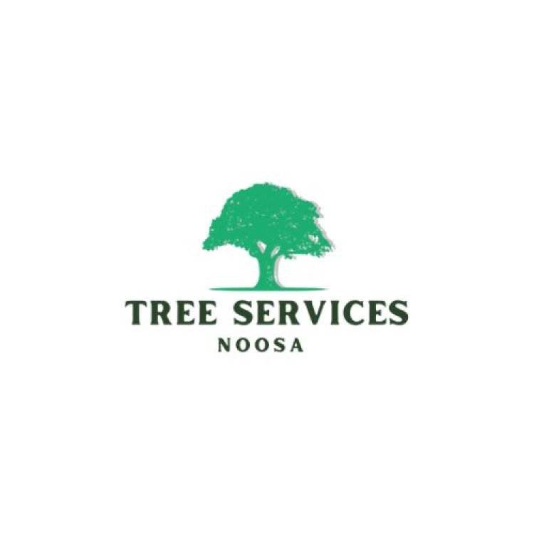 Tree Service Noosa