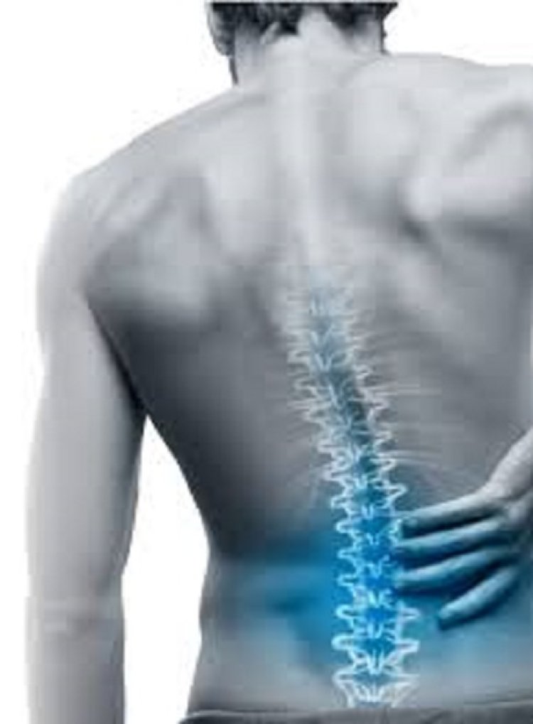 The Impact of Poor Posture on Back and Muscle Health