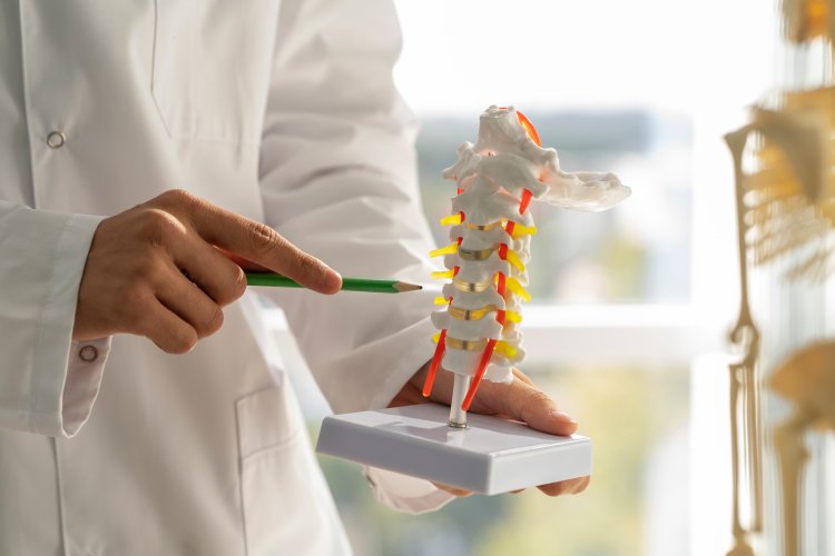 Ankylosing Spondylitis Market Outlook Report 2024-2033 | Trends, Analysis, Insights, Overview