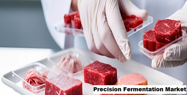 Precision Fermentation Market Predicts 33.01% CAGR Growth over the Next Decade