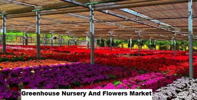 Greenhouse Nursery And Flowers Market Positioned for Growth Amid Environmental Aesthetics Awareness