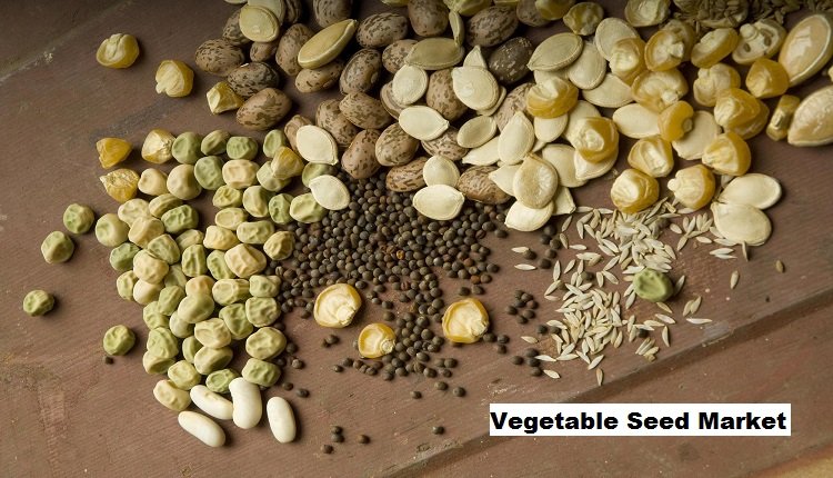 Health and Nutrition Awareness Reshaping Vegetable Seed Market Landscape