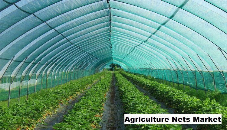 Growth Opportunities in Agriculture Nets Market Driven by Crop Protection Demand