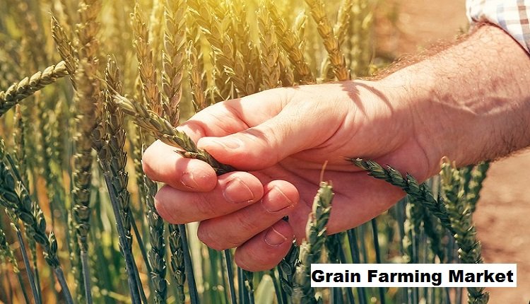 Growth Opportunities in Grain Farming Market Driven by Agricultural Technology