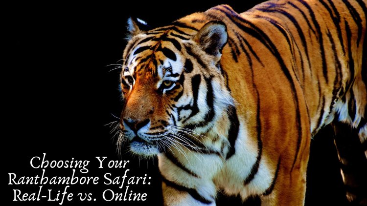 Choosing Your Ranthambore Safari: Real-Life vs. Online