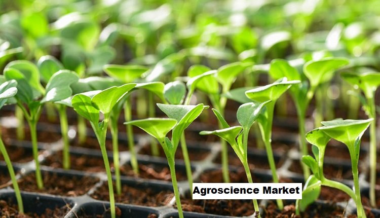 Agroscience Market: Precision Agriculture Solutions Shaping the Future