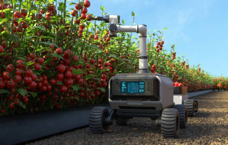 Agriculture Imaging Sensor Global Market By Product Type, By Application, By Connectivity, By Sensor Type, By Region And Segment Forecast 2024-2033